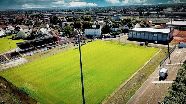 不仅提升了 不仅提升了