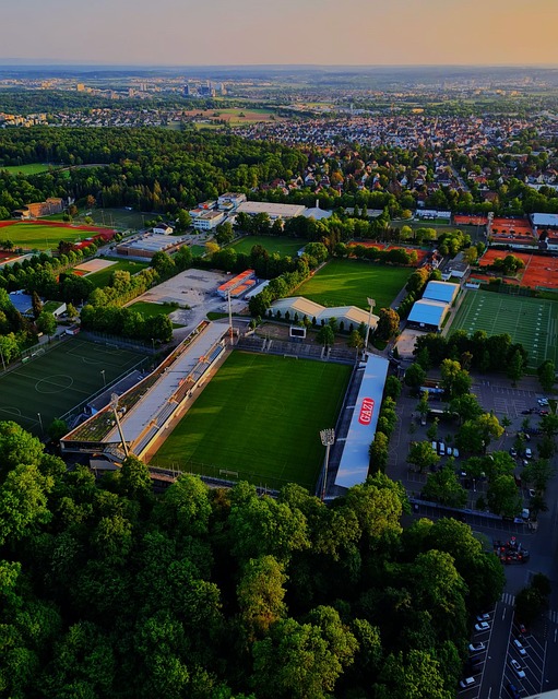 被裁判直接 被裁判直接