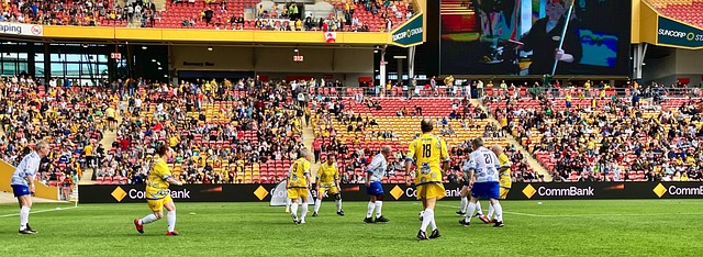 都在为这项 都在为这项