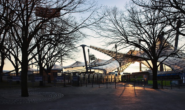 大约最大心 大约最大心